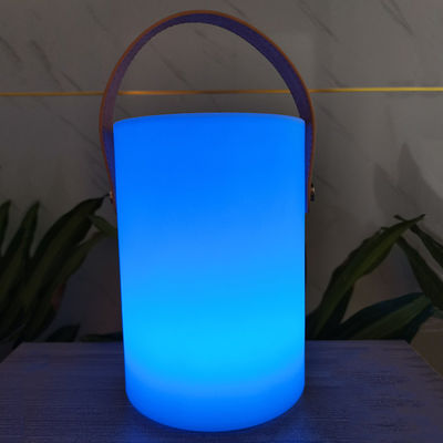 Taman Dekorasi Portable Lampu Cahaya 16 Warna Mengubah 3500K CCT