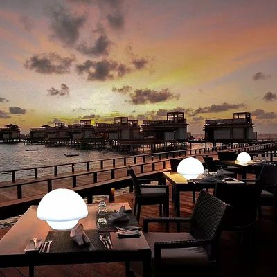 Jamur Desain Lampu Meja Cahaya isi ulang 4100K Netral Putih